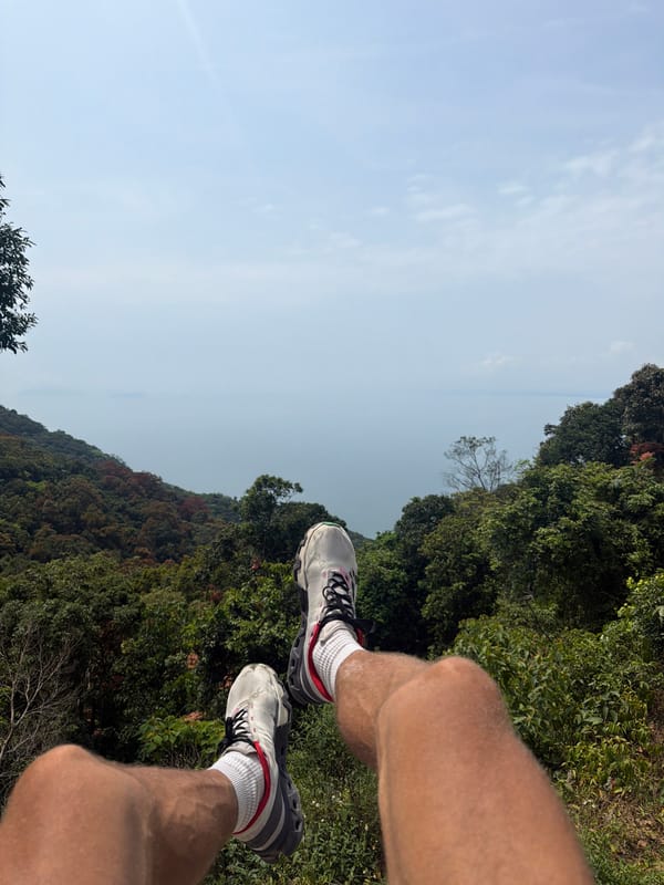 Person sits on hillside overlooking forest in Đà Nẵng