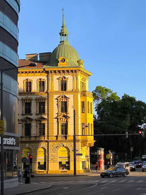 Vienna's architectural contrast documented in single witness account