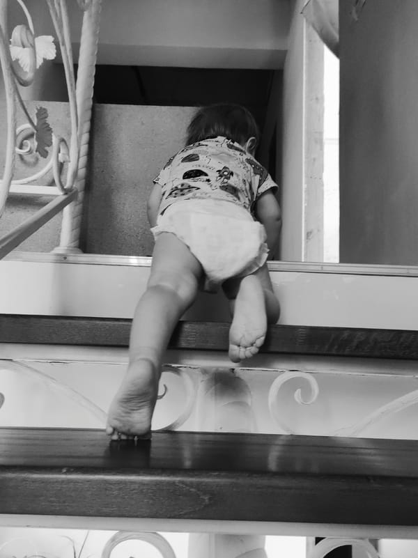 Early morning family photographs document domestic moments with child, pet