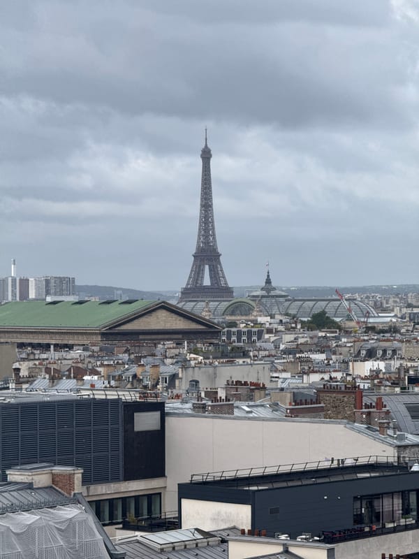 Aerial view captures Paris cityscape with Eiffel Tower