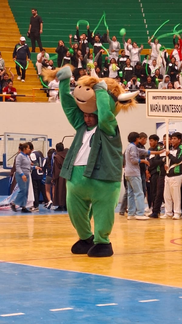 Green bull mascot highlights parade at Arequipa educational institute