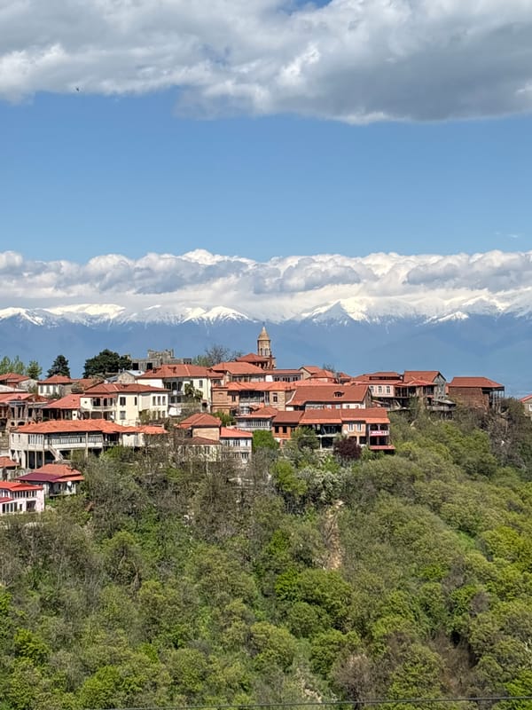 Witness documents Sighnaghi cityscape with red roofs, church steeple