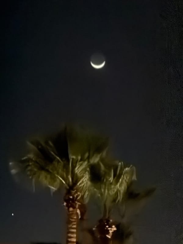 Evening resort scenes captured in Sharm El Sheikh