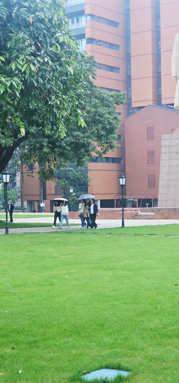 Early morning rain brings umbrellas to Yuzhong District streets