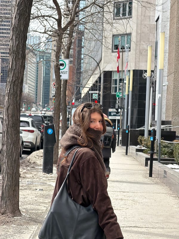 Public art and architecture documented in downtown Montreal