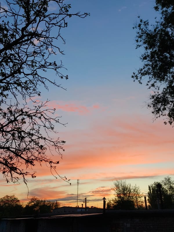 Spring sunset and blooming acacias observed in Kryvyi Rih