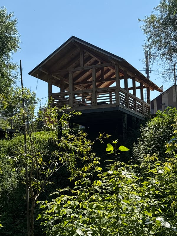 Hillside park in Kazan — gazebo, bird feeders, and a dog
