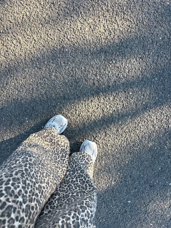 Morning pedestrian spotted on residential street in Spain