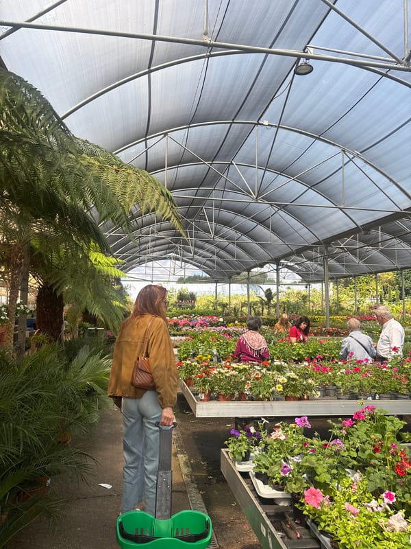 Visitors inspect flowers at greenhouse in Vila Nova de Gaia