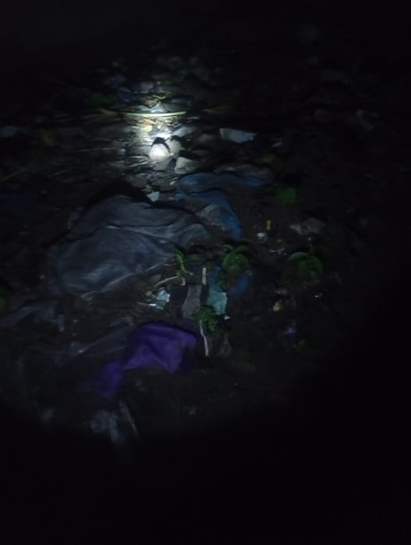Nighttime flashlight exploration of a Jalingo dwelling and surroundings