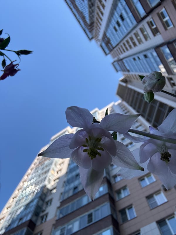 Morning garden photography session captured flowers and portrait in Russia