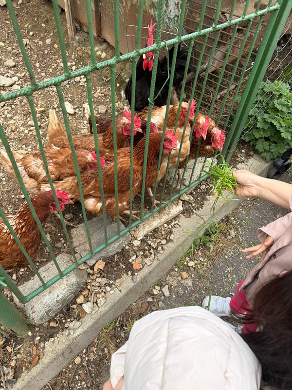 Two people feed chickens in Zlatograd, Bulgaria
