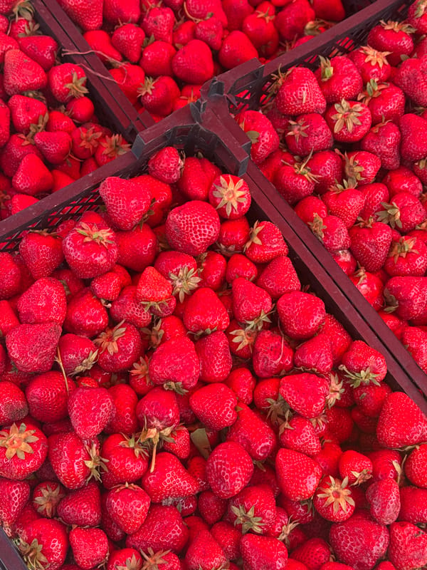 Summer day scenes around Mikhaylovsk markets and playgrounds