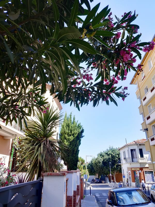 Morning street-level tour through sunny Perpignan neighborhoods