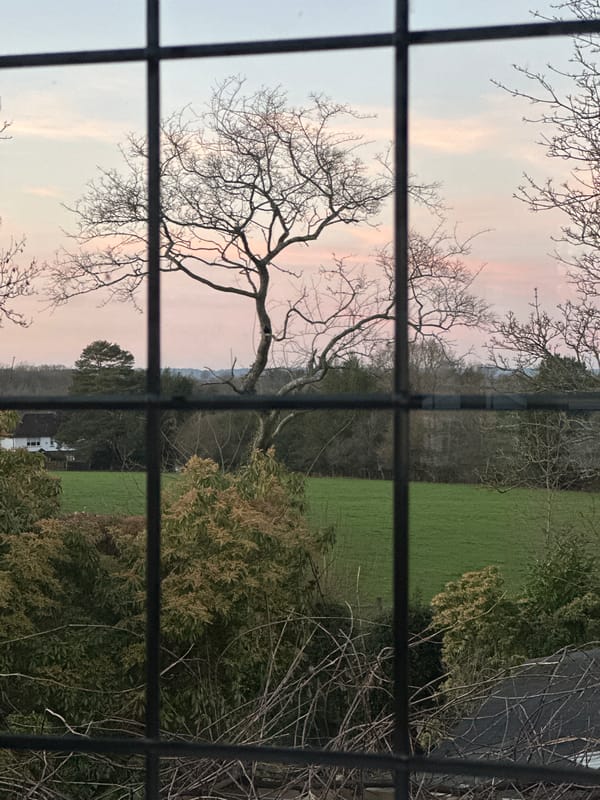 Resident documents quiet evening moments in Wealden home