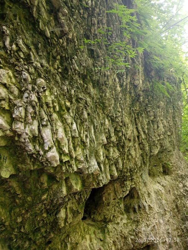 Mossy rocks, cairns, and forest floor along an unknown trail