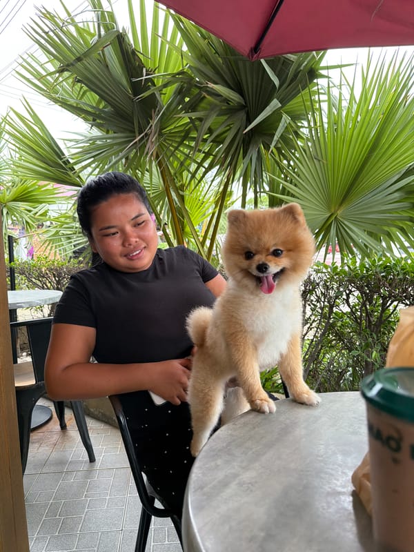 Woman enjoys morning cafe time with Pomeranian in Pattaya