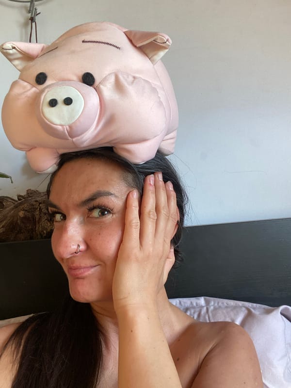 Casual indoor moments with pets and salon visit in Khimki