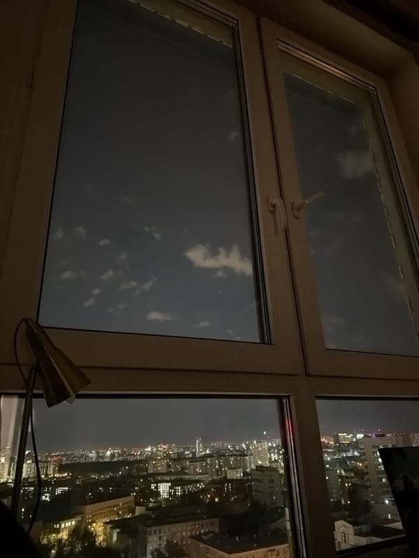 Evening moments: city window view and cat petting captured