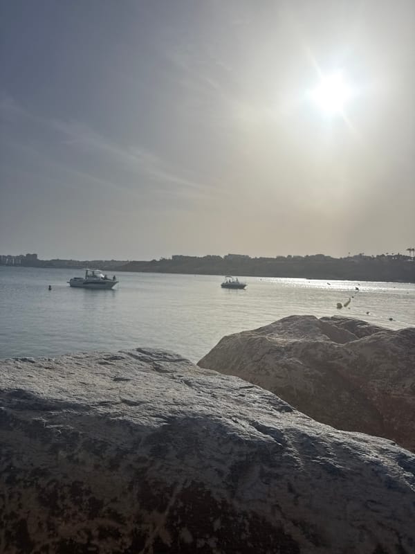 Afternoon at the marina: boats, coastline, and casual seaside wandering