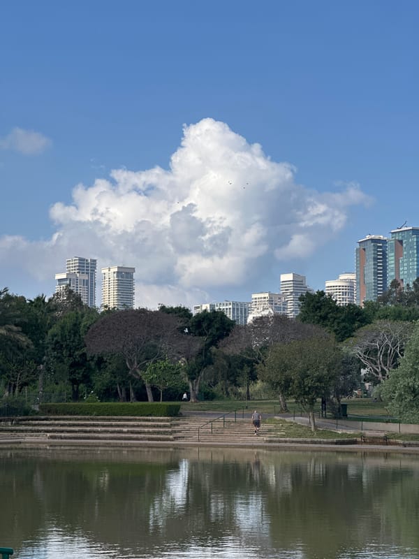 Egyptian Goose spotted in Tel Aviv park during morning hours