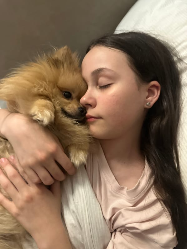 Quiet domestic moments with woman and Pomeranian captured in Votkinsk