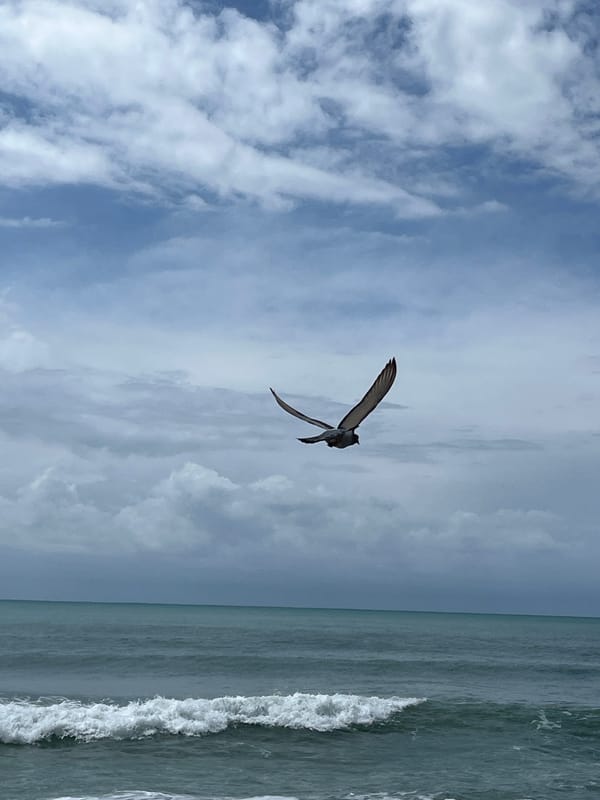 Rough seas and beachgoers observed in Alanya, Turkey