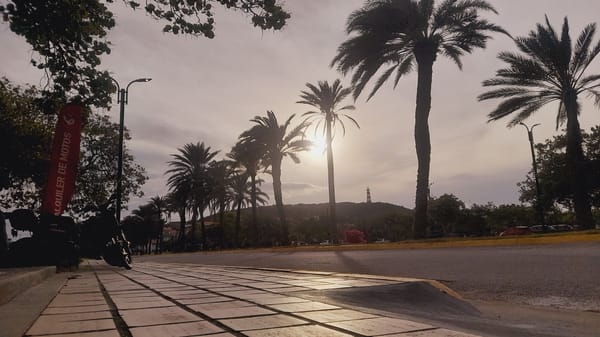 Scooter rentals and palm trees along Pedro González's seafront promenade