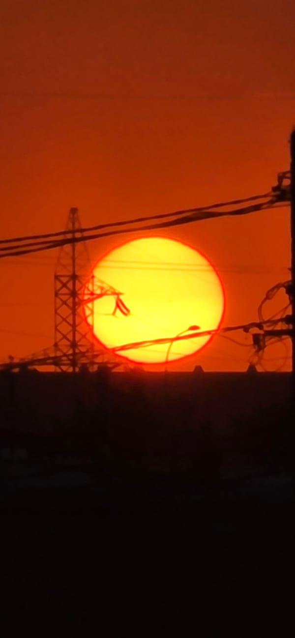 Warm sunset glow over Tashkent's skyline and wires