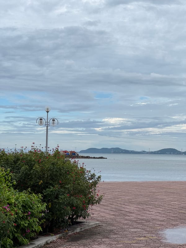 Morning stroll captures everyday life in Nha Trang coastal district