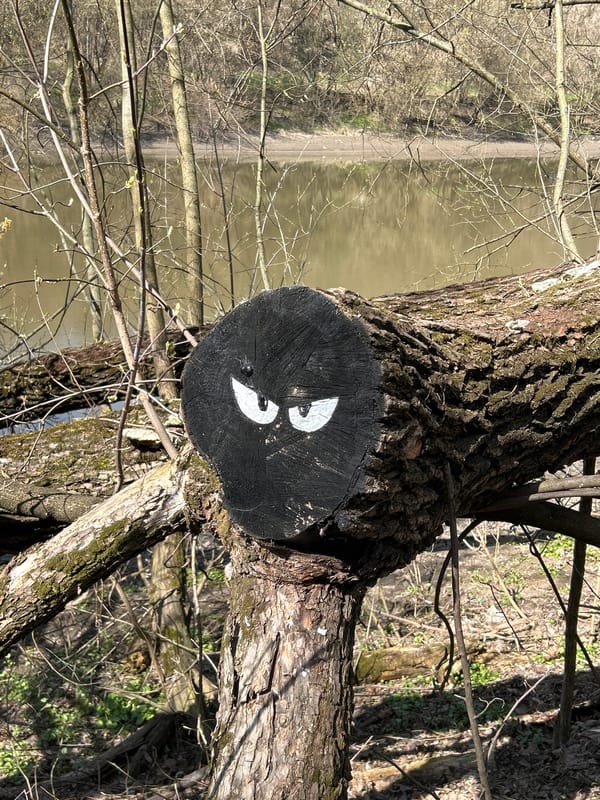 Nature observations recorded in Podolsk: marked tree, dead butterfly