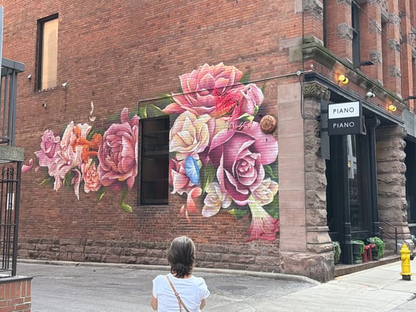 Evening photo walk documents Toronto's diverse neighborhoods and architecture