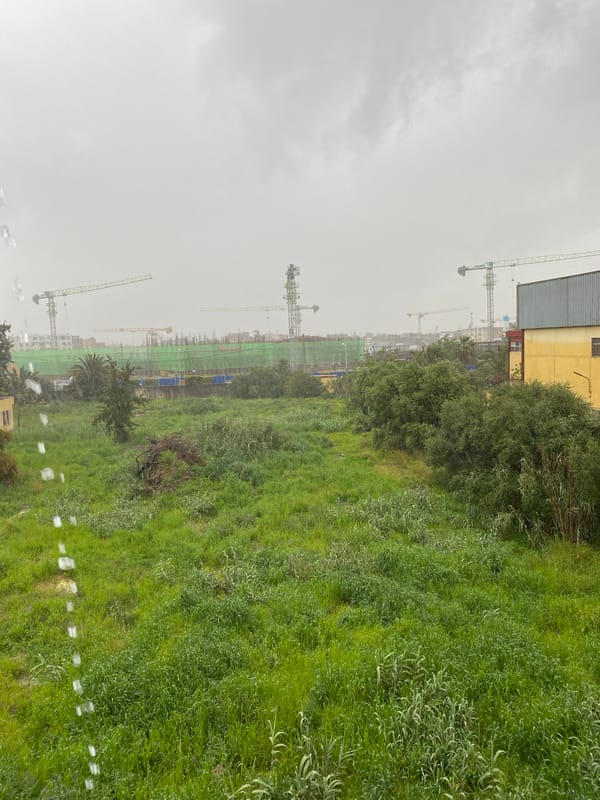 Construction activity observed amid foggy weather in Baraki, Algeria