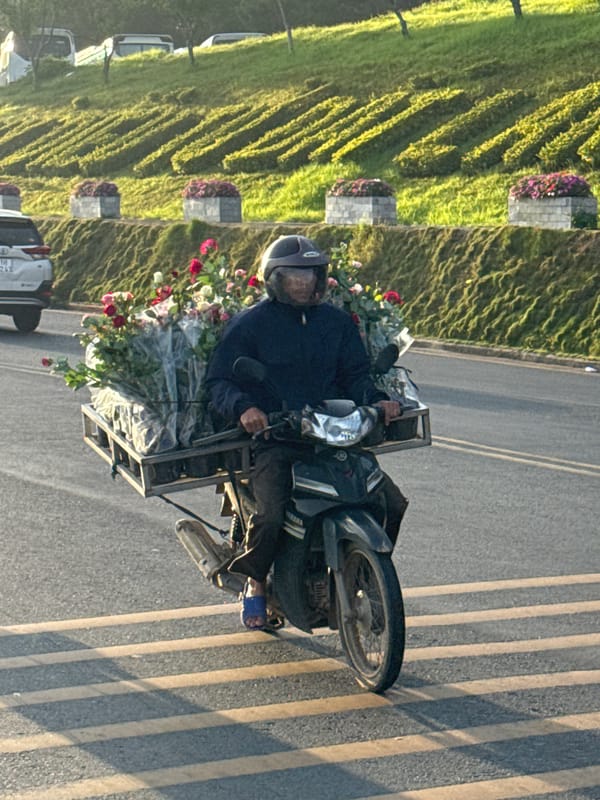 Evening activity around Xuan Huong Lake, Da Lat