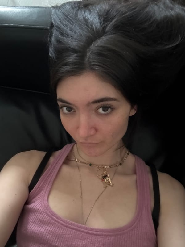 Evening domestic life captured across New York City locations