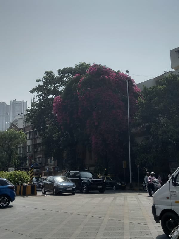 Morning street life captured near Mumbai's One International Center