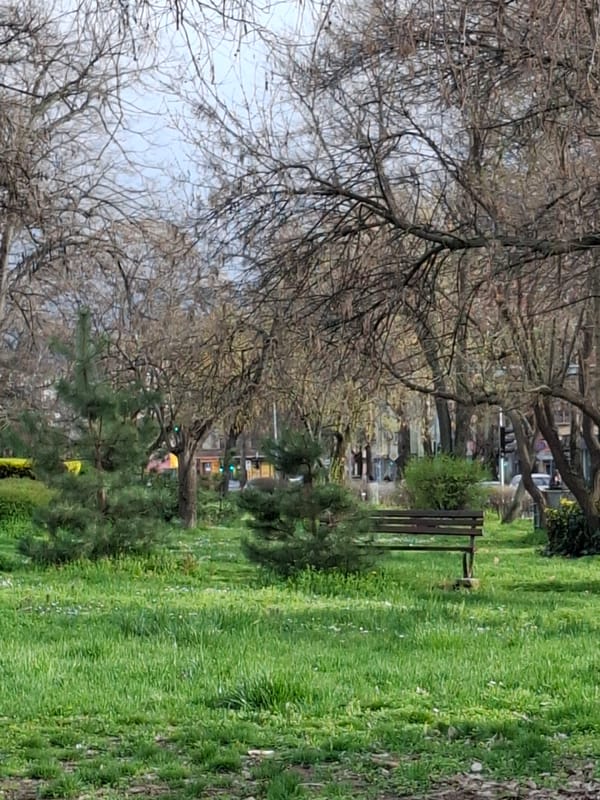 Afternoon family life documented across Plovdiv parks and streets