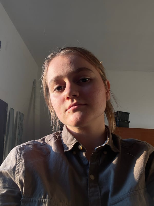 Golden-hour light study inside a Belgrade space