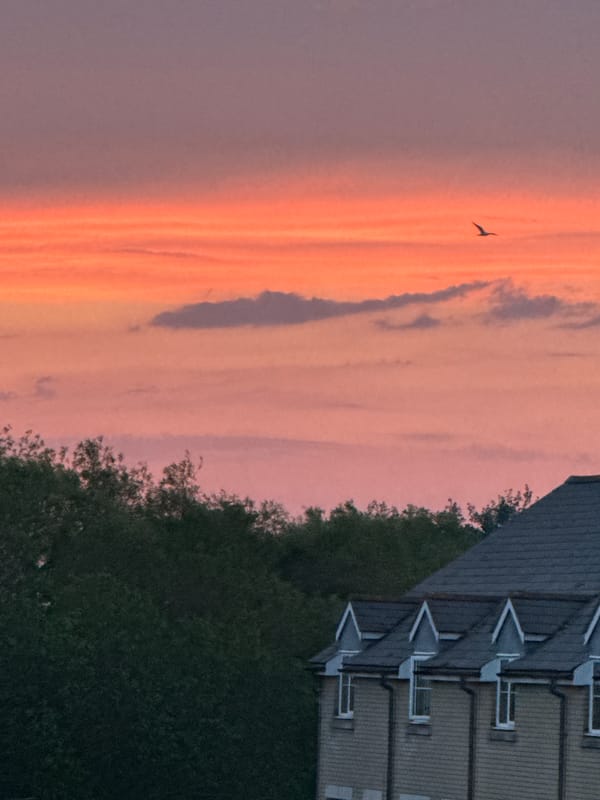 Sunset observed over Great Yarmouth residential areas, May 26