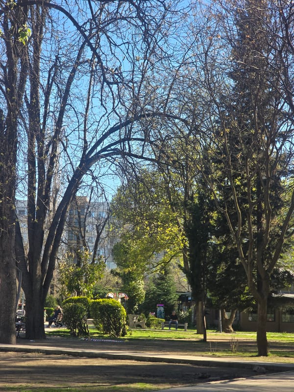Spring budding observed on trees in Plovdiv, Bulgaria