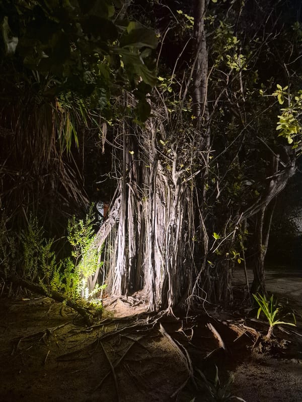 Witness documents coastal scenes across two Maldivian islands