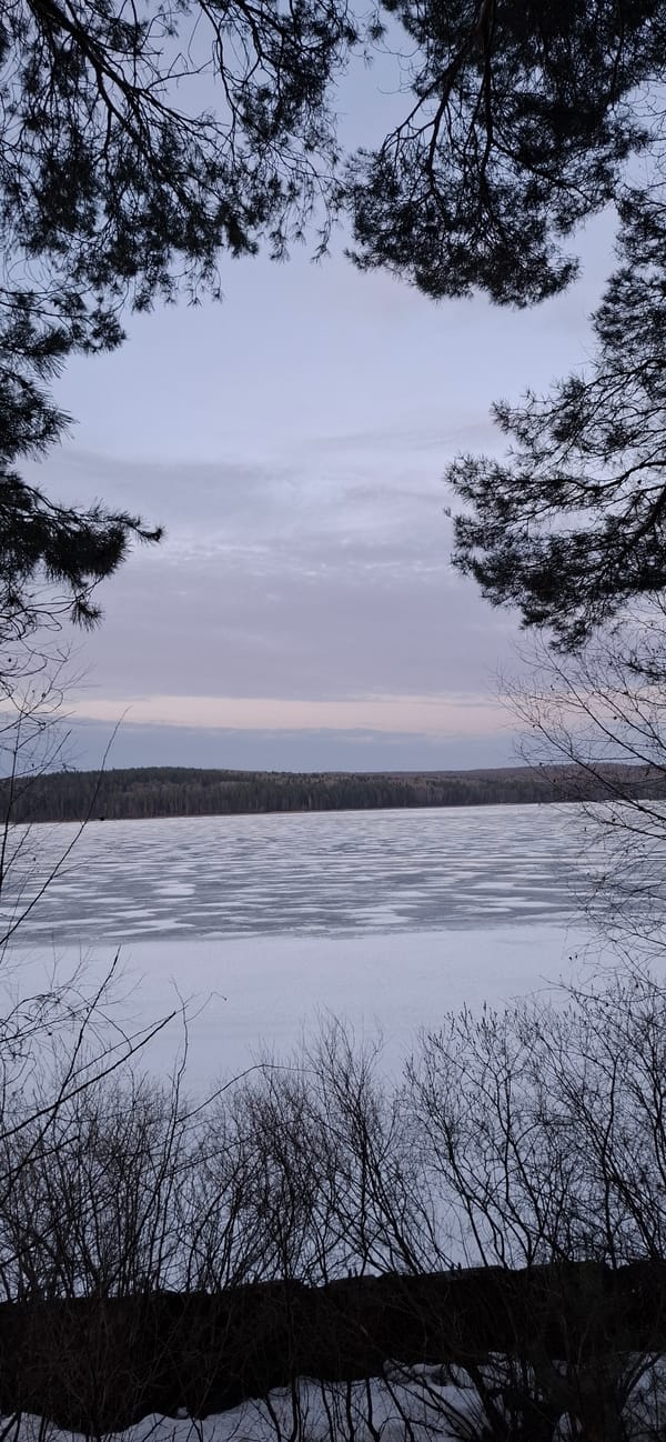 Winter forest documentation captured in Chaikovsky, Russia