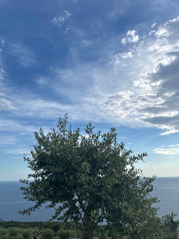 Witness documents coastal landscapes from elevated Montenegro location