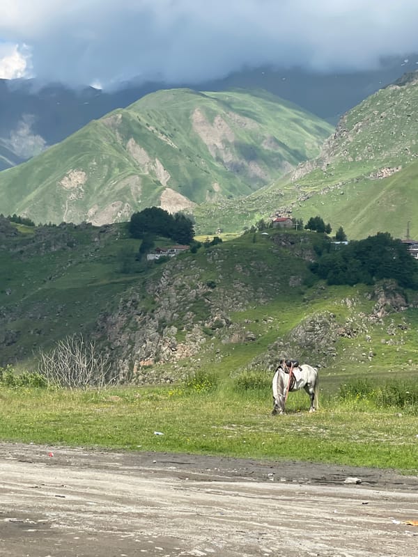 Sioni valley: horses, rivers, and mountain village at dawn