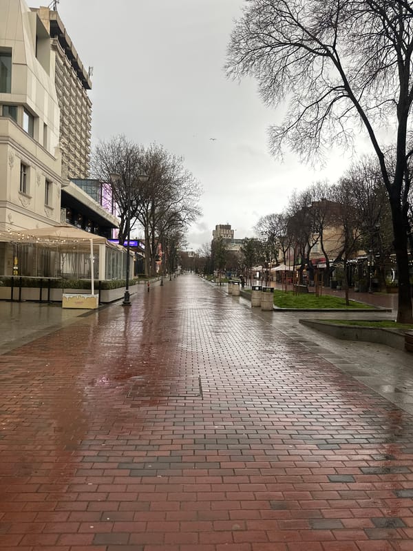 Wet street scene captured in Varna, Bulgaria