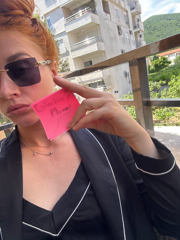 Woman creates 'Collective Memory' sticky note art project in Budva