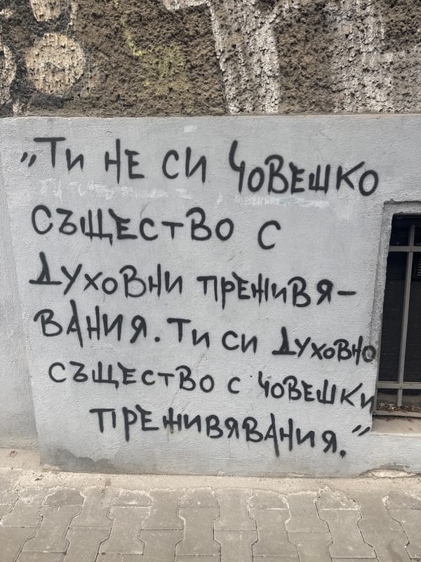 Urban street scenes documented across Sofia in two-minute span