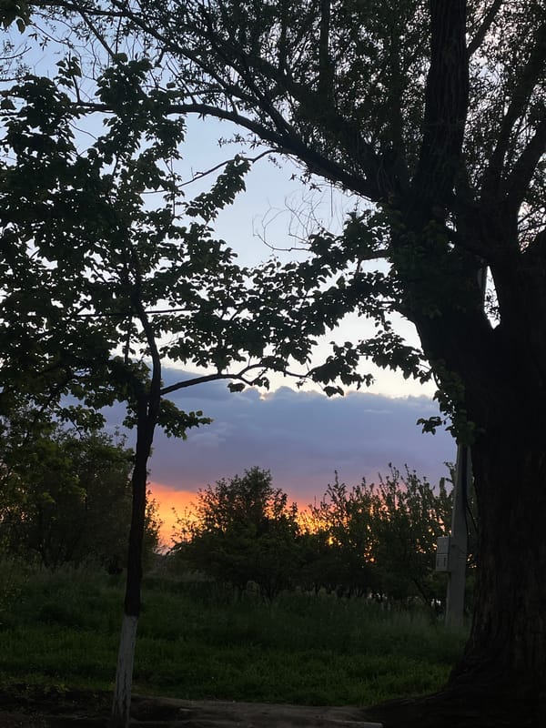 Twilight landscape captured through trees in Apaga, Armenia