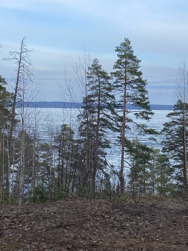 Man enjoys canned meal outdoors near frozen lake in Russia