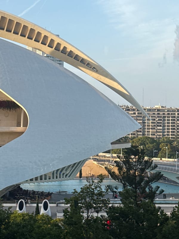 Visitor documents Valencia's City of Arts and Sciences architecture